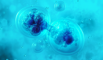 Exosome Technology