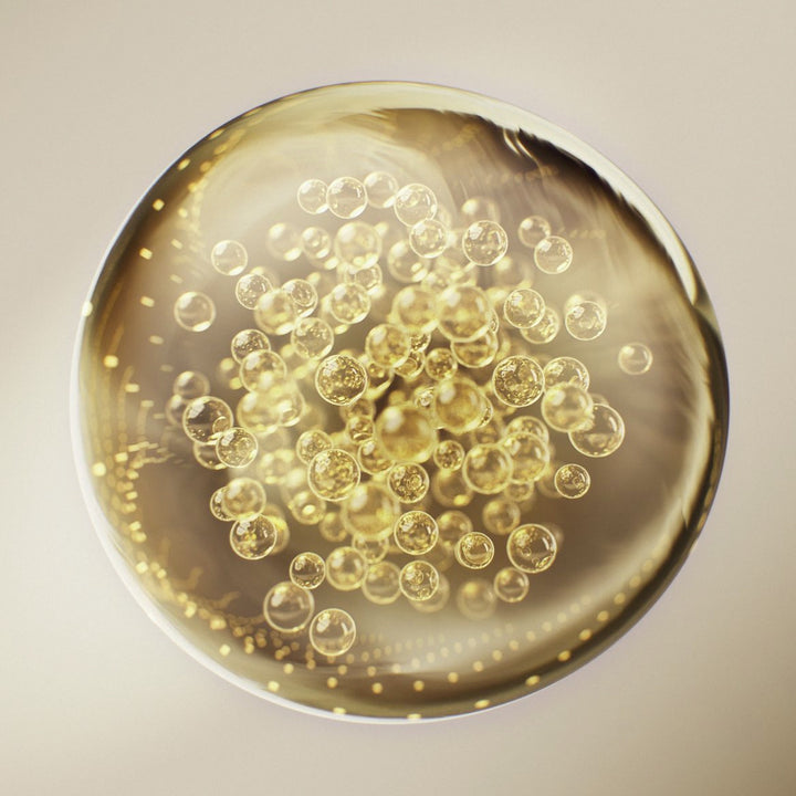 HPR Retinoid